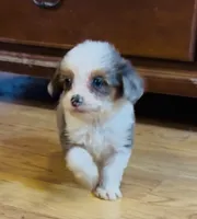 processed/c71a5250-56b3-4e9c-874f-b0f3d904917d/listing/70f80aa3-f59a-46ac-b465-cf7d1290fdea/2bfa3124-2a75-4b27-adf3-61decdc7c85c