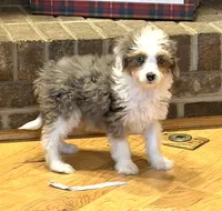 processed/c71a5250-56b3-4e9c-874f-b0f3d904917d/listing/70f80aa3-f59a-46ac-b465-cf7d1290fdea/474a0f55-a508-4e1a-8198-8b9447171ee8