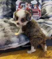 processed/c71a5250-56b3-4e9c-874f-b0f3d904917d/listing/70f80aa3-f59a-46ac-b465-cf7d1290fdea/9619030c-193b-4a28-a5af-b121e9006674