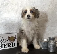 processed/c71a5250-56b3-4e9c-874f-b0f3d904917d/listing/70f80aa3-f59a-46ac-b465-cf7d1290fdea/d2bec058-a2fc-431f-ada3-d556d5c8ee45