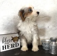 processed/c71a5250-56b3-4e9c-874f-b0f3d904917d/listing/70f80aa3-f59a-46ac-b465-cf7d1290fdea/d5ee45b5-96e0-47bc-ba89-dedebb929711