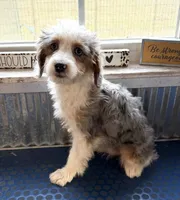 processed/c71a5250-56b3-4e9c-874f-b0f3d904917d/listing/70f80aa3-f59a-46ac-b465-cf7d1290fdea/d9260b40-3c5e-4464-bf3d-44cd9316a1e9