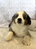 processed/c71a5250-56b3-4e9c-874f-b0f3d904917d/listing/7f0ae64b-cda7-4bb1-8503-d384df068327/3d258e1f-9b51-4002-b334-76cf31f3a8d0