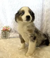 processed/c71a5250-56b3-4e9c-874f-b0f3d904917d/listing/7f0ae64b-cda7-4bb1-8503-d384df068327/6149a65a-22ed-445a-96a9-3f18cafe8456