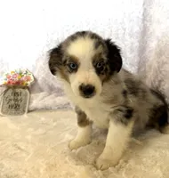 processed/c71a5250-56b3-4e9c-874f-b0f3d904917d/listing/7f0ae64b-cda7-4bb1-8503-d384df068327/d92f818d-4eca-4ff0-8160-3ea5d322db30