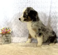 processed/c71a5250-56b3-4e9c-874f-b0f3d904917d/listing/7f0ae64b-cda7-4bb1-8503-d384df068327/e85c6b4b-29e7-4e52-87e2-4ccf9a5114be