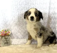 processed/c71a5250-56b3-4e9c-874f-b0f3d904917d/listing/7f0ae64b-cda7-4bb1-8503-d384df068327/f41b6511-d249-4740-ba74-436ede452ea1