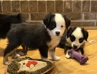 processed/c71a5250-56b3-4e9c-874f-b0f3d904917d/listing/875add20-6bde-42cc-b126-a2f229388a6e/3de2e933-d5b9-4bb2-b51f-7586df1dcb65