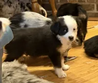 processed/c71a5250-56b3-4e9c-874f-b0f3d904917d/listing/875add20-6bde-42cc-b126-a2f229388a6e/ca22a154-91ee-497b-9cb2-1ce927d1000d