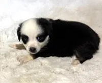 processed/c71a5250-56b3-4e9c-874f-b0f3d904917d/listing/8793a9e6-de9e-473e-b14f-2666afed2916/02c9ee8c-e194-4754-ba77-a261cfc91f14