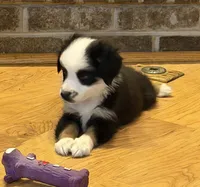 processed/c71a5250-56b3-4e9c-874f-b0f3d904917d/listing/8793a9e6-de9e-473e-b14f-2666afed2916/1b3b4dcf-a4a9-4285-97a1-2a0b884a3454