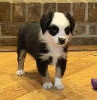 processed/c71a5250-56b3-4e9c-874f-b0f3d904917d/listing/8793a9e6-de9e-473e-b14f-2666afed2916/5d29cd7c-9a77-4fc0-ae59-6dca4294e372