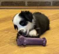 processed/c71a5250-56b3-4e9c-874f-b0f3d904917d/listing/8793a9e6-de9e-473e-b14f-2666afed2916/5e415da2-8575-4305-9352-2497b1dcbc92