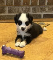 processed/c71a5250-56b3-4e9c-874f-b0f3d904917d/listing/8793a9e6-de9e-473e-b14f-2666afed2916/88e833dc-9d7d-423c-aecf-175a767187db