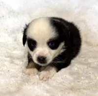 processed/c71a5250-56b3-4e9c-874f-b0f3d904917d/listing/8793a9e6-de9e-473e-b14f-2666afed2916/bf14634a-49ae-44f5-91ba-04def7faa981