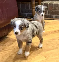 processed/c71a5250-56b3-4e9c-874f-b0f3d904917d/listing/97484bd4-3040-4d2c-bb88-5853e3657770/125a27c3-7b43-435b-8eee-d6e9704c6e91