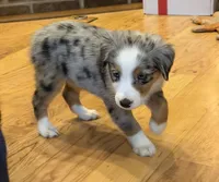 processed/c71a5250-56b3-4e9c-874f-b0f3d904917d/listing/97484bd4-3040-4d2c-bb88-5853e3657770/16d2471a-c120-4127-956e-cc2873d1c39a