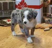 processed/c71a5250-56b3-4e9c-874f-b0f3d904917d/listing/97484bd4-3040-4d2c-bb88-5853e3657770/3e73ec50-7bdc-45ae-91a2-8ee30590fa0a