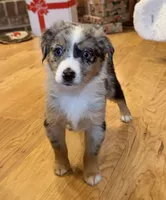 processed/c71a5250-56b3-4e9c-874f-b0f3d904917d/listing/9ce5b635-ec49-41fb-801a-b76fde829fff/7f198376-251b-47e6-9d8b-83f7be5e083f