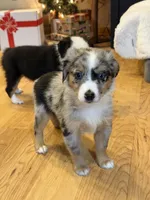 processed/c71a5250-56b3-4e9c-874f-b0f3d904917d/listing/9ce5b635-ec49-41fb-801a-b76fde829fff/877eb6f6-24ad-4cee-a137-80dcf2ad7c78