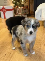 processed/c71a5250-56b3-4e9c-874f-b0f3d904917d/listing/9ce5b635-ec49-41fb-801a-b76fde829fff/92bd869f-3827-453d-96f0-f3b408638296