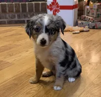 processed/c71a5250-56b3-4e9c-874f-b0f3d904917d/listing/9ce5b635-ec49-41fb-801a-b76fde829fff/ada10e6d-52d8-44a3-8e04-f2c539a1df78