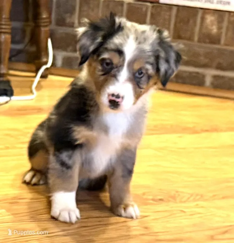 Brooklynn “Brianna”