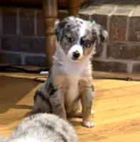 processed/c71a5250-56b3-4e9c-874f-b0f3d904917d/listing/9ce5b635-ec49-41fb-801a-b76fde829fff/c69c61dd-d2e3-417e-a7ac-e0110774e8eb