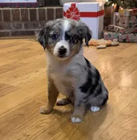 processed/c71a5250-56b3-4e9c-874f-b0f3d904917d/listing/9ce5b635-ec49-41fb-801a-b76fde829fff/f6e5fbf2-fa4e-416e-9498-746b96967386