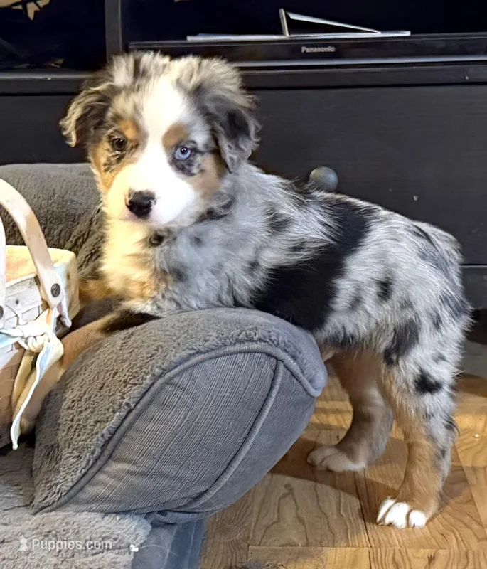 Brennen “Brianna”