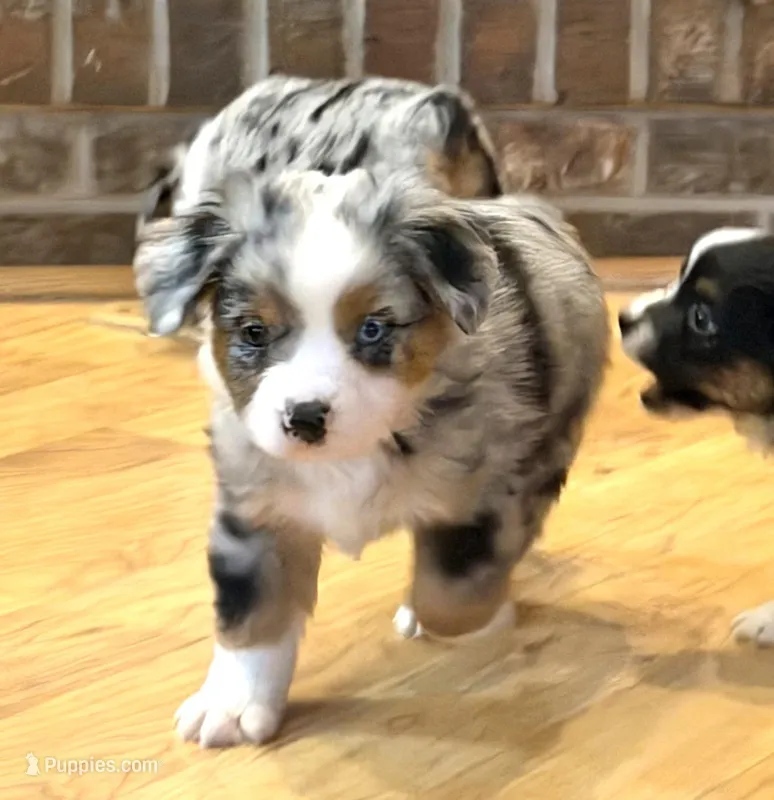 Brennen “Brianna”