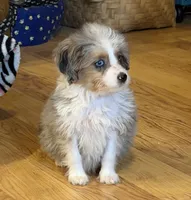 processed/c71a5250-56b3-4e9c-874f-b0f3d904917d/listing/a58aa7f2-c414-491a-938f-70197854b93c/6bf57141-5559-4bbd-bd16-f9207595671a