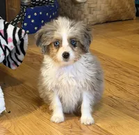 processed/c71a5250-56b3-4e9c-874f-b0f3d904917d/listing/a58aa7f2-c414-491a-938f-70197854b93c/c50c3c58-b947-46a8-9dfb-421892d096ec