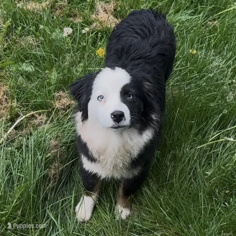 Brynn “Brawnley”