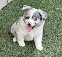 processed/c71a5250-56b3-4e9c-874f-b0f3d904917d/listing/b0be962d-3c6f-4026-90d0-17d7ef97e557/0801484a-1349-43d3-acbf-fd8d08882a5e