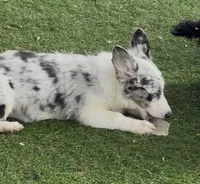 processed/c71a5250-56b3-4e9c-874f-b0f3d904917d/listing/b0be962d-3c6f-4026-90d0-17d7ef97e557/170487c4-23a8-4137-9d4f-4fd3de16614c