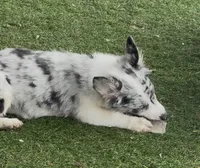 processed/c71a5250-56b3-4e9c-874f-b0f3d904917d/listing/b0be962d-3c6f-4026-90d0-17d7ef97e557/76389093-218d-4c53-92dc-e0bd139fca33