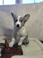 processed/c71a5250-56b3-4e9c-874f-b0f3d904917d/listing/b0be962d-3c6f-4026-90d0-17d7ef97e557/8a0bb0fd-bf0c-420d-9569-00d1ce97d305