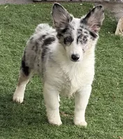 processed/c71a5250-56b3-4e9c-874f-b0f3d904917d/listing/b0be962d-3c6f-4026-90d0-17d7ef97e557/94b15a3a-7714-4b0f-85d3-5362b1e04d33