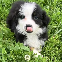 processed/c71a5250-56b3-4e9c-874f-b0f3d904917d/listing/c7144ebb-a0a8-4344-b6e2-d4ca2ccc2ff0/2a34517a-36f2-4506-a16c-92b4673782c5