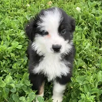 processed/c71a5250-56b3-4e9c-874f-b0f3d904917d/listing/c7144ebb-a0a8-4344-b6e2-d4ca2ccc2ff0/34783703-f778-42c8-b0db-bce75af65cdf