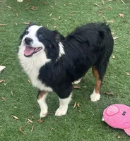 processed/c71a5250-56b3-4e9c-874f-b0f3d904917d/listing/c7144ebb-a0a8-4344-b6e2-d4ca2ccc2ff0/68ab04c5-b57b-4f78-9111-06e140bd2f07