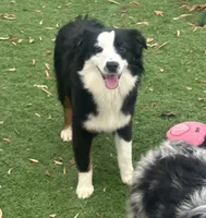 processed/c71a5250-56b3-4e9c-874f-b0f3d904917d/listing/c7144ebb-a0a8-4344-b6e2-d4ca2ccc2ff0/aba765d0-71f3-4269-a53e-b48d7519aef7