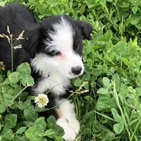 processed/c71a5250-56b3-4e9c-874f-b0f3d904917d/listing/c7144ebb-a0a8-4344-b6e2-d4ca2ccc2ff0/bbdc23f1-a71e-4d39-83cc-1e752d48d300