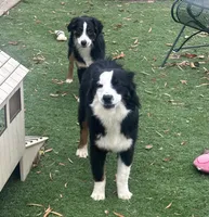 processed/c71a5250-56b3-4e9c-874f-b0f3d904917d/listing/c7144ebb-a0a8-4344-b6e2-d4ca2ccc2ff0/dc339d9c-7cb8-4552-b85e-952aab045e4f