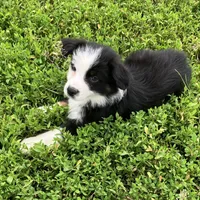 processed/c71a5250-56b3-4e9c-874f-b0f3d904917d/listing/c7144ebb-a0a8-4344-b6e2-d4ca2ccc2ff0/e573cdda-ad52-45a6-8aaf-537c248fb0a2