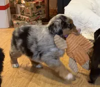 processed/c71a5250-56b3-4e9c-874f-b0f3d904917d/listing/d70bba8b-cc33-417d-9a7b-aa0d9a024a70/7c70c3f9-512e-4dcd-a1e3-a8abea061f49