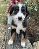 processed/c71a5250-56b3-4e9c-874f-b0f3d904917d/listing/fc0c8629-21ba-4a01-8380-0f58ca810bf1/42f43e8a-3bb7-4223-a228-2efcc94f2fd6