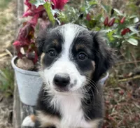 processed/c71a5250-56b3-4e9c-874f-b0f3d904917d/listing/fc0c8629-21ba-4a01-8380-0f58ca810bf1/54534de1-8213-47aa-8047-4f986f489e3c