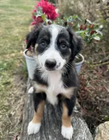 processed/c71a5250-56b3-4e9c-874f-b0f3d904917d/listing/fc0c8629-21ba-4a01-8380-0f58ca810bf1/5db95659-a7e0-4971-99c2-cec48402513c